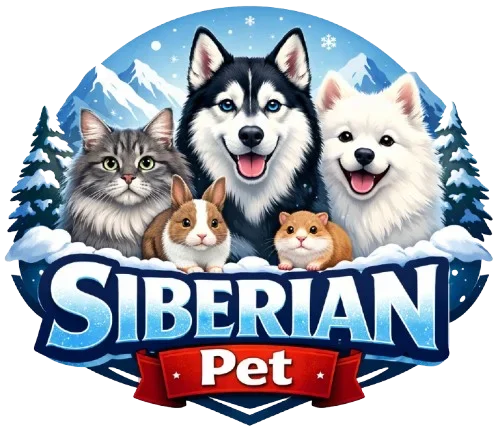 siberian pet
